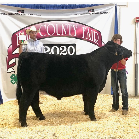 Meet your Posher, Wes - Picture 1 of 1